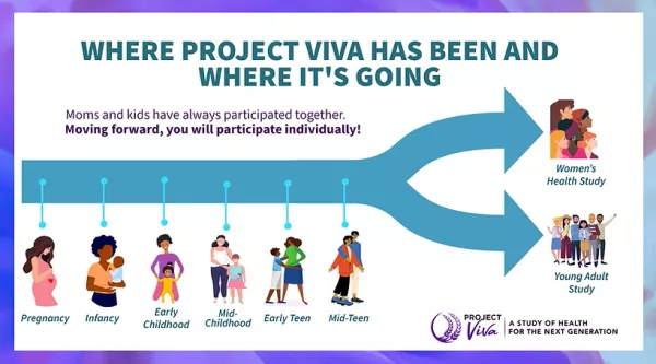 Viva Timeline