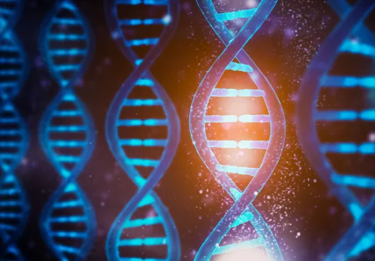 dna