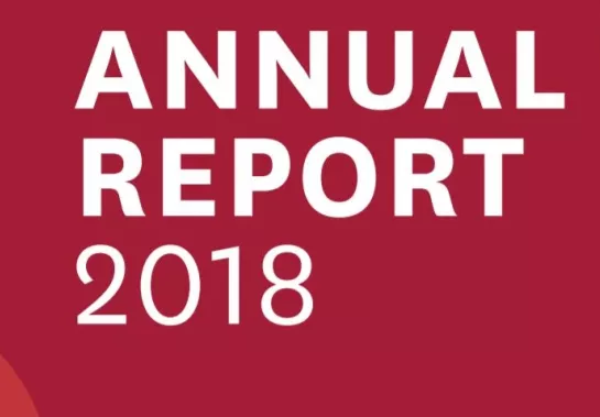 2018 Institute Annual Report